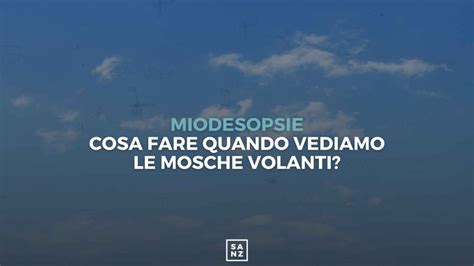 mo cerchio nero|Miodesopsie, cosa dobbiamo fare quando vediamo le mosche .